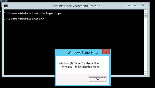 check-windows-activation-status-4