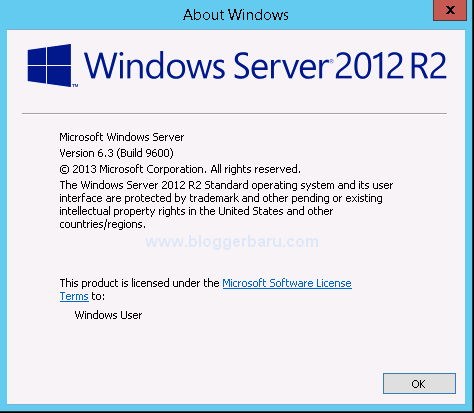 win2k12-info-3