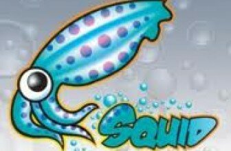 How to Install and Configure Squid Proxy Cache on Windows